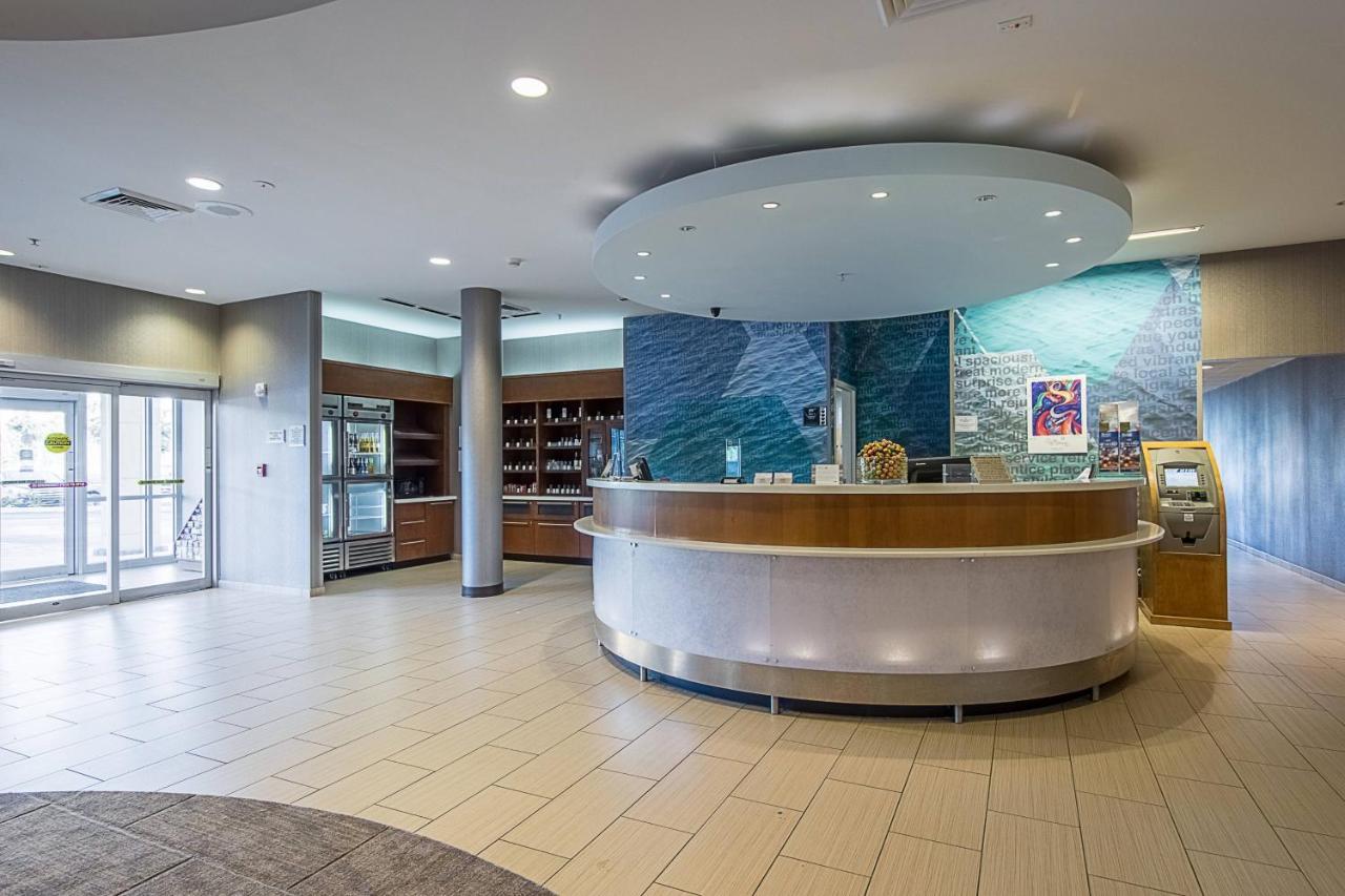 Springhill Suites Tampa North/Tampa Palms Exterior foto