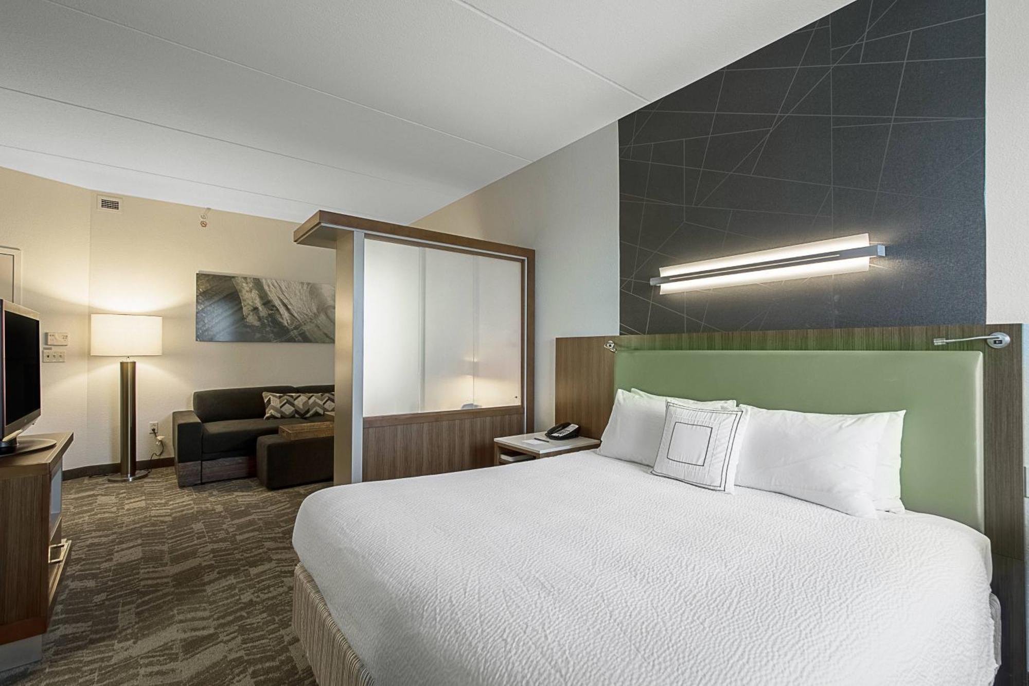 Springhill Suites Tampa North/Tampa Palms Exterior foto