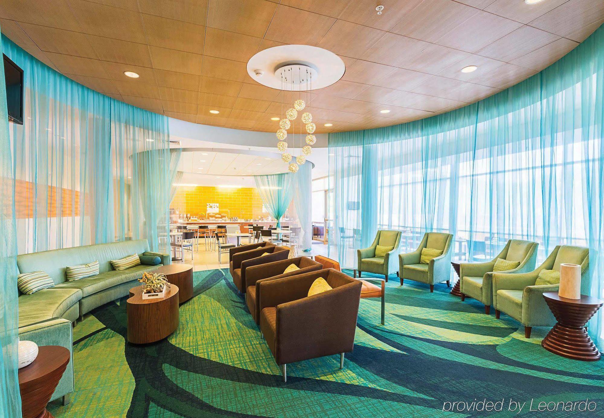 Springhill Suites Tampa North/Tampa Palms Exterior foto